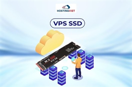 Thuê VPS SSD HostingViet: Giải pháp máy chủ Ảo tốc độ cao cho cá nhân và doanh nghiệp